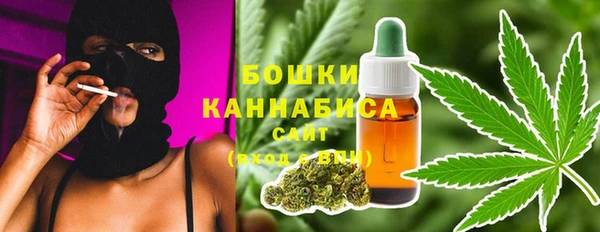 прущие грибы Белоозёрский