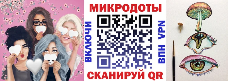 закладки  Берёзовка  Псилоцибиновые грибы GOLDEN TEACHER 